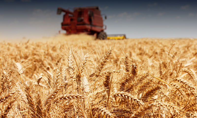 Agricoltura